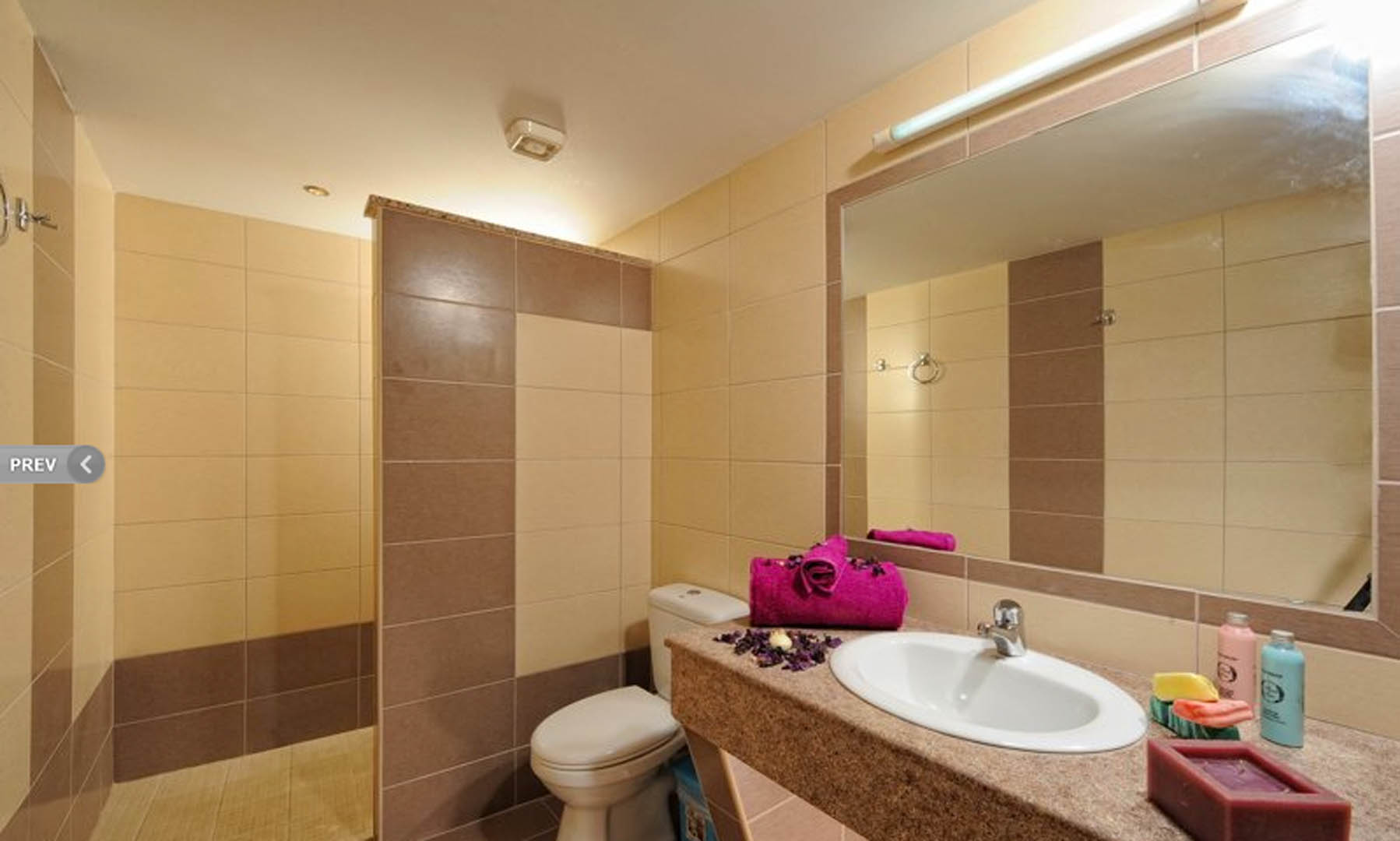 Standard Apartment Bathroom